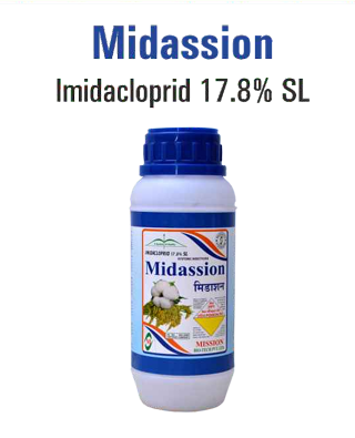 Midassion